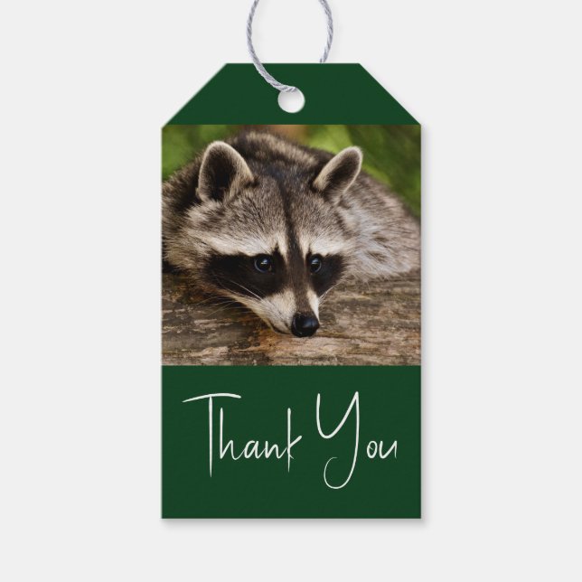 Étiquettes-cadeau Raccoon mignon reposant sur un journal (Devant)