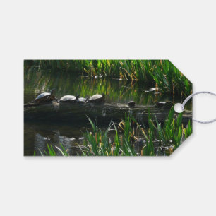 Étiquettes-cadeau Rangée de tortues photo verte de la nature
