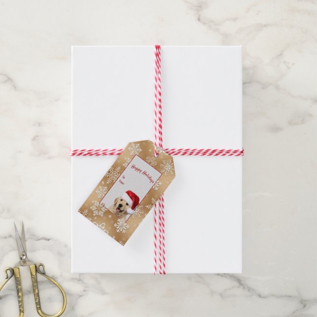 Étiquettes-cadeau récupérateur d'or avec chapeau de Santa (Avec de la ficelle)