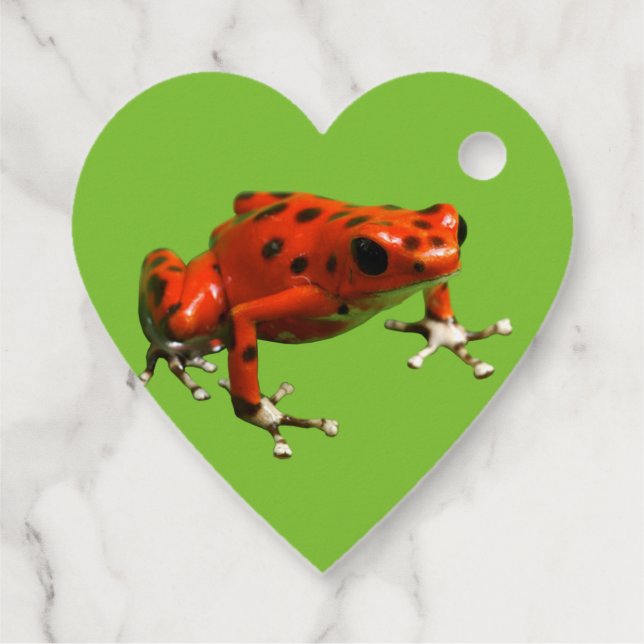Étiquettes Cadeau Red Poison Dart Frog (Dos)