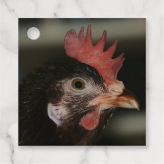 Étiquettes Cadeau Rouge
