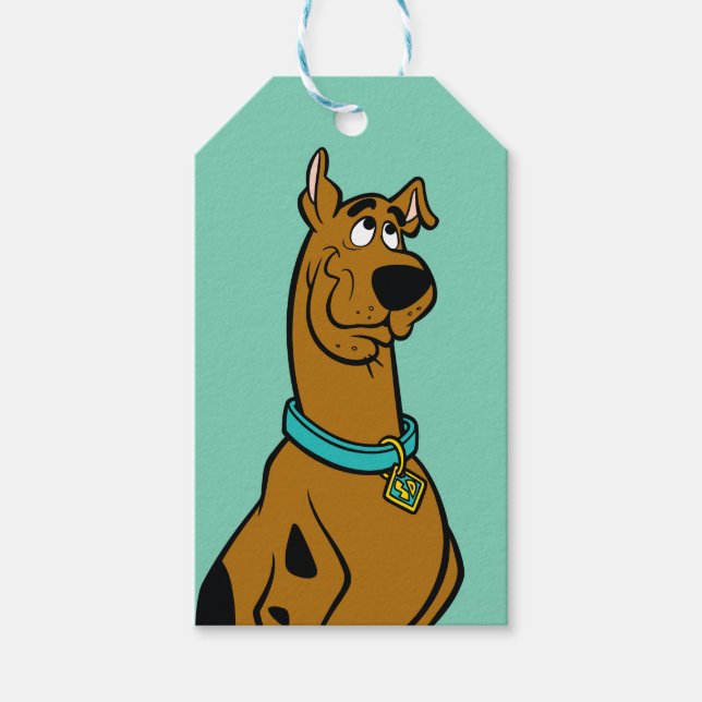 Étiquettes-cadeau Scooby Doo Chiot Yeux (Devant)