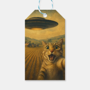 Étiquettes-cadeau Selfie De Chat Avec Alien UFO Drôle Cadeaux De Cha