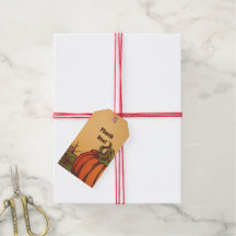 Seul citrouille sur le terrain. Les feuilles d'aut