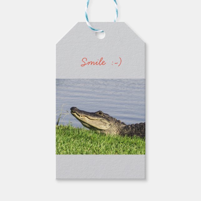 Étiquettes-cadeau Sourire d'Alligator (Devant)