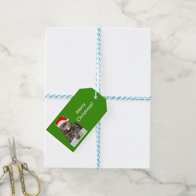 Étiquettes-cadeau Tag cadeau de Noël en chat de Santa Hat (With Twine)