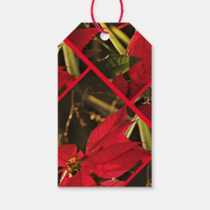 Étiquettes-cadeau Tag cadeau Poinsettia Noël