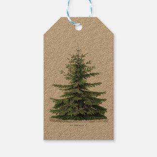 Étiquettes-cadeau Tags Cadeaux Botaniques Pinecones Arbre de Noël