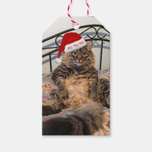 Étiquettes-cadeau Tags cadeaux père Noël Cat Ho Ho Ho Ho