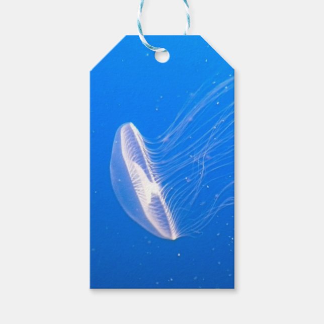 Étiquettes-cadeau Tentacles de méduses (Devant)