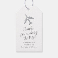 Thème Voyage Argent Avion Destination Mariage
