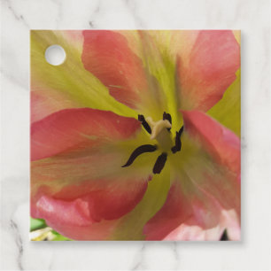 Étiquettes Cadeau Tulipe rose et jaune 