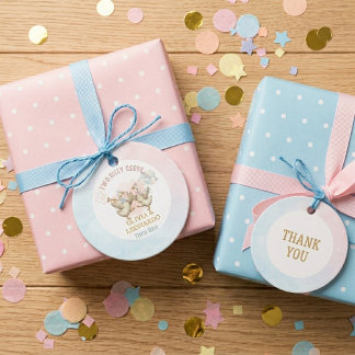Étiquettes Cadeau Two Silly Geese Boy & Girl Twins Birthday