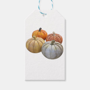 Étiquettes-cadeau Une variété de Citrouille