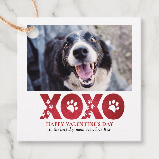 Étiquettes Cadeau Valentines Jour XOXO Photo pour chien de compagnie (Devant)