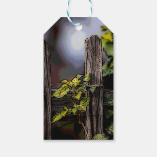 Étiquettes-cadeau Vignes, feuilles verts, Vignes sur portes en bois