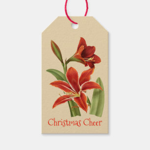 Étiquettes-cadeau Vintage Amaryllis Christmas Cheval