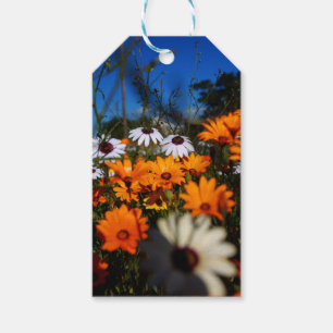 Étiquettes-cadeau Wild Namaqualand fleurs florales