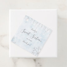 Winter Wonderland Bleu Argent Neige Douce glace 16