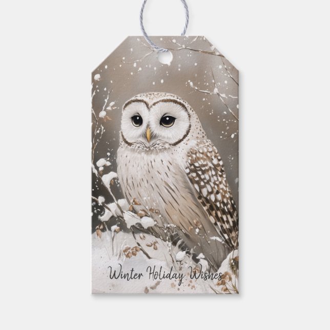 Étiquettes-cadeau Woodland Owl Winter Christmas (Devant)