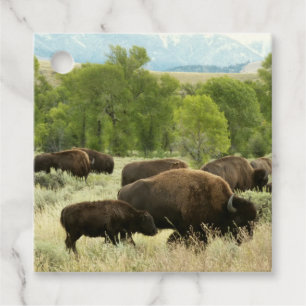 Étiquettes Cadeau Wyoming Bison Nature Animal Photographie