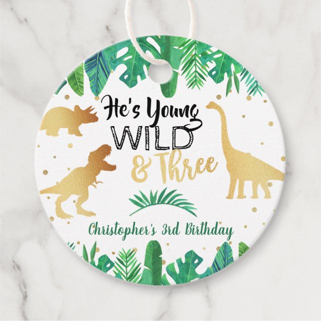 Étiquettes Cadeau Young Wild & Three Dinosaur Boys 3e anniversaire (Devant)