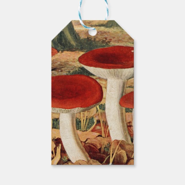 Étiquettes Cadeaux pour Scrapbook Champignon Rétro (Devant)