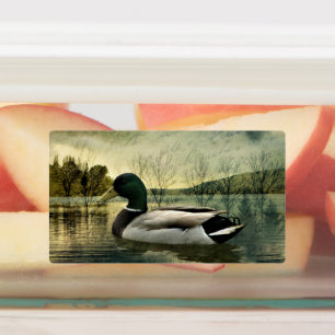 Étiquettes Carte postale Patinée vintage Mallard Duck