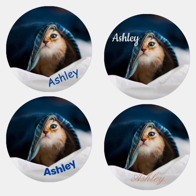 Étiquettes Chat Tabby Orange (Groupe)