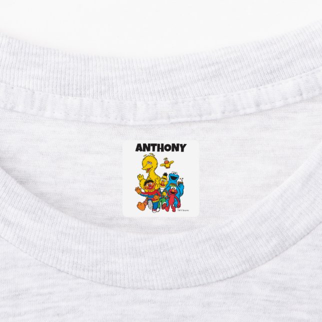 Étiquettes Coutume Vintage Sésame Street Pals Vêtements (Apposé)
