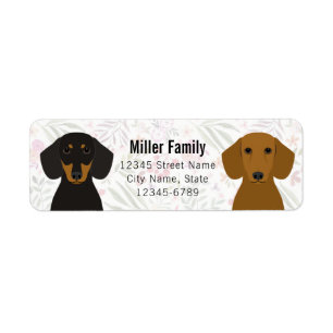 Étiquettes d'adresse de retour Dachshund
