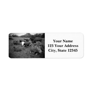 Étiquettes d'adresse de retour de bétail
