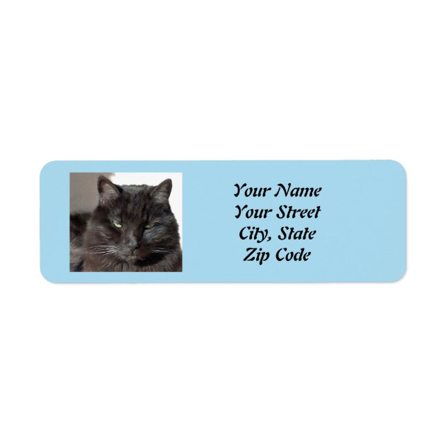 Étiquettes d'adresse de retour de chat noir (Devant)