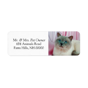 Étiquettes d'adresse de retour de chat pour anima