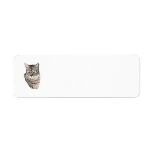 Étiquettes d'adresse de retour de chat tigré