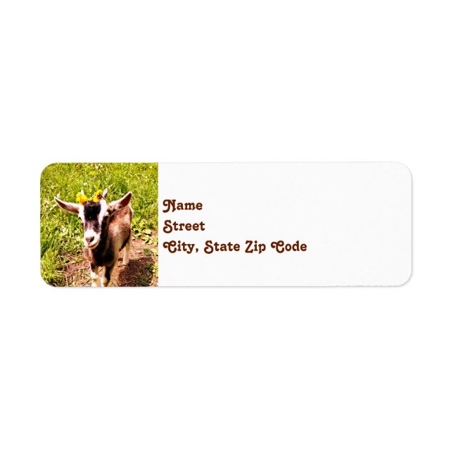 Étiquettes d'adresse de retour de chèvre pour bébé (Devant)