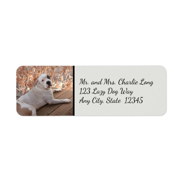 Étiquettes d'adresse de retour de chien de porc ir (Devant)