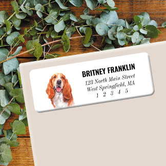 Étiquettes d'adresse de retour de la chaîne Basset
