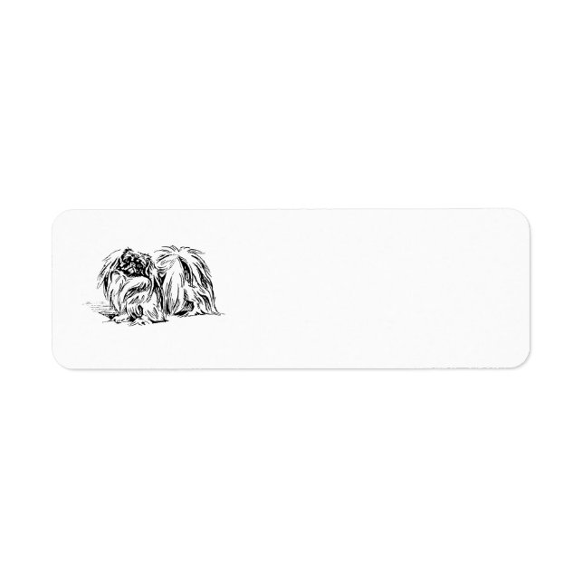 Étiquettes d'adresse de retour de Pékin (Devant)