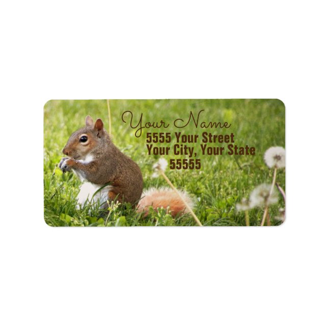 Étiquettes d'adresse de retour d'écureuil pour béb (Devant)