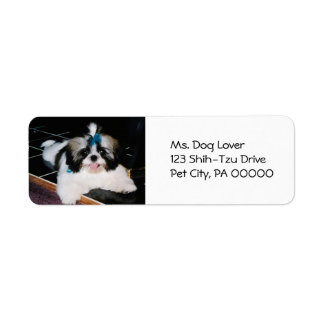 Étiquettes d'adresse de retour des chiots Shih-Tzu