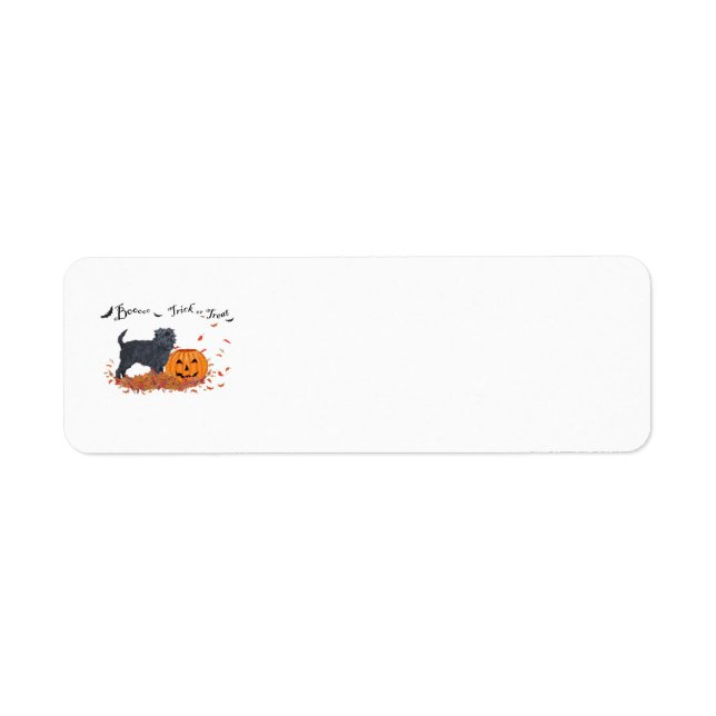 Étiquettes d'adresse de retour d'Halloween Affenpi (Devant)