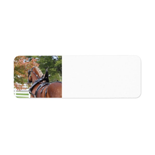 Étiquettes d'adresse de retour du Cheval Brouillon (Devant)