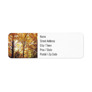 Étiquettes d'adresse de retour - Forêt d'automne