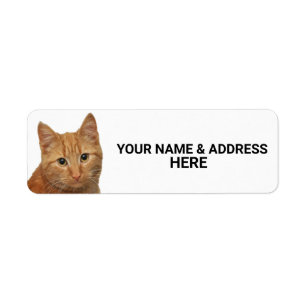ÉTIQUETTES D'ADRESSE DE RETOUR GINGER CAT