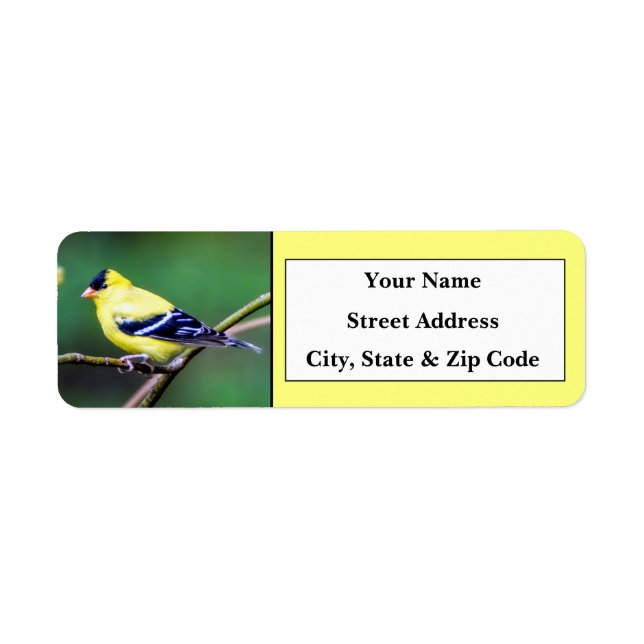 Étiquettes d'adresse de retour Goldfinch américain (Devant)