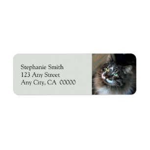 Étiquettes d'adresse de retour irrésistible Cat Zo