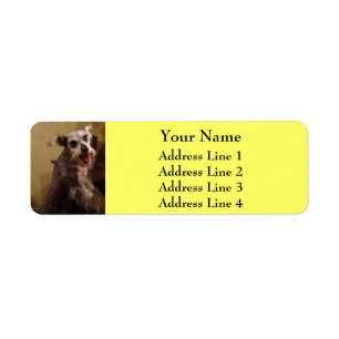 Étiquettes d'adresse de retour Jaune Schnauzer Min