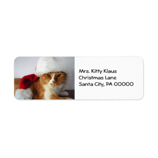 Étiquettes d'adresse de retour Kitty Noël au chape