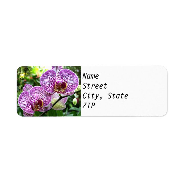 Étiquettes d'adresse de retour - Orchidées tacheté (Devant)